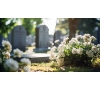 VISITE DU CIMETIERE DE LA SALLE - COM ACTIVITES