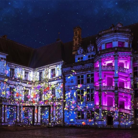 VISITE DU CHATEAU DE BLOIS ET SPECTACLE SON ET LUMIERE