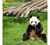 JOURNEE AU ZOO DE BEAUVAL SLvie 5