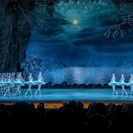 LE LAC DES CYGNES SLvie 5