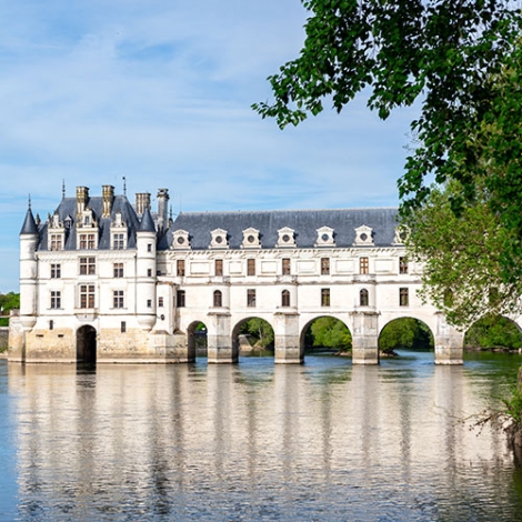 DEJEUNER CROISIERE SUR LE CHER - COM ACTIVITES