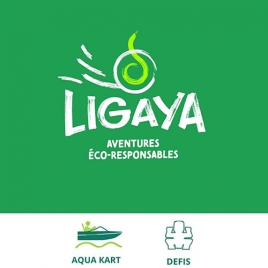 DEFI TOTEM ET KARTING SUR L'EAU - COM ACTIVITES