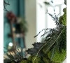 ATELIER FLORAL SLvie 5