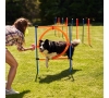 COURS D'EDUCATION CANINE - SLVIE 7