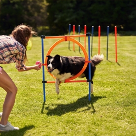 COURS D'EDUCATION CANINE - SLVIE 7